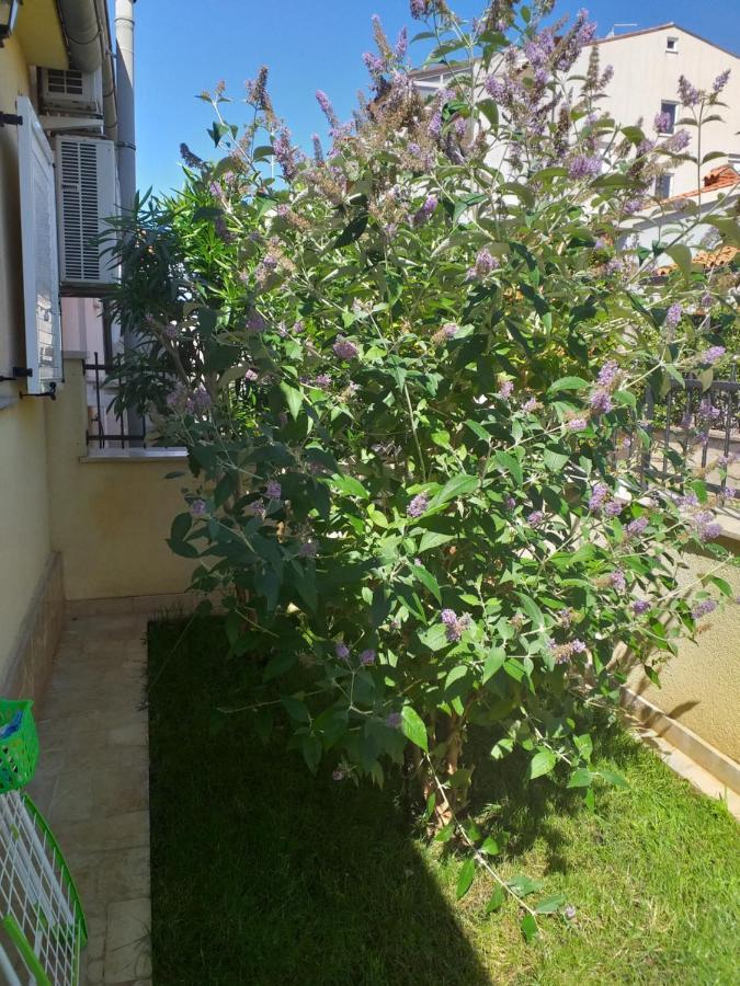 Apartman Vida Pula Exterior foto